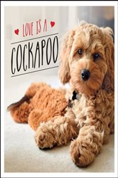 Book cover: Love is a Cockapoo, by Charlie Ellis (preview)