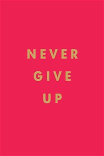 Book cover: Never Give Up, by Summersdale Publishers (preview)