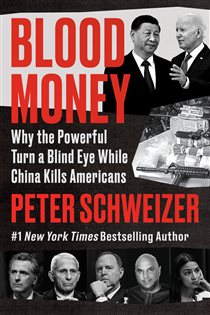 Book cover: Blood Money, by Peter Schweizer (preview)