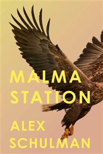 Book cover: Malma Station, by Alex Schulman (preview)