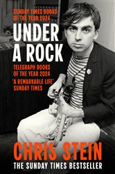 Book cover: Under A Rock, by Chris Stein (preview)