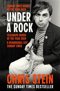 Book cover: Under A Rock, by Chris Stein (preview)