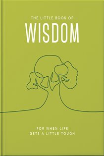 Book cover: The Little Book of Wisdom, by OH (preview)