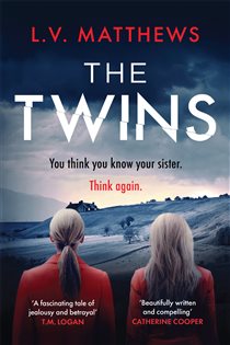 Book cover: The Twins, by L.V. Matthews (preview)