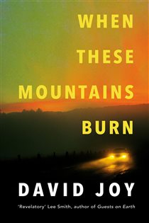 Book cover: When These Mountains Burn, by David Joy (preview)