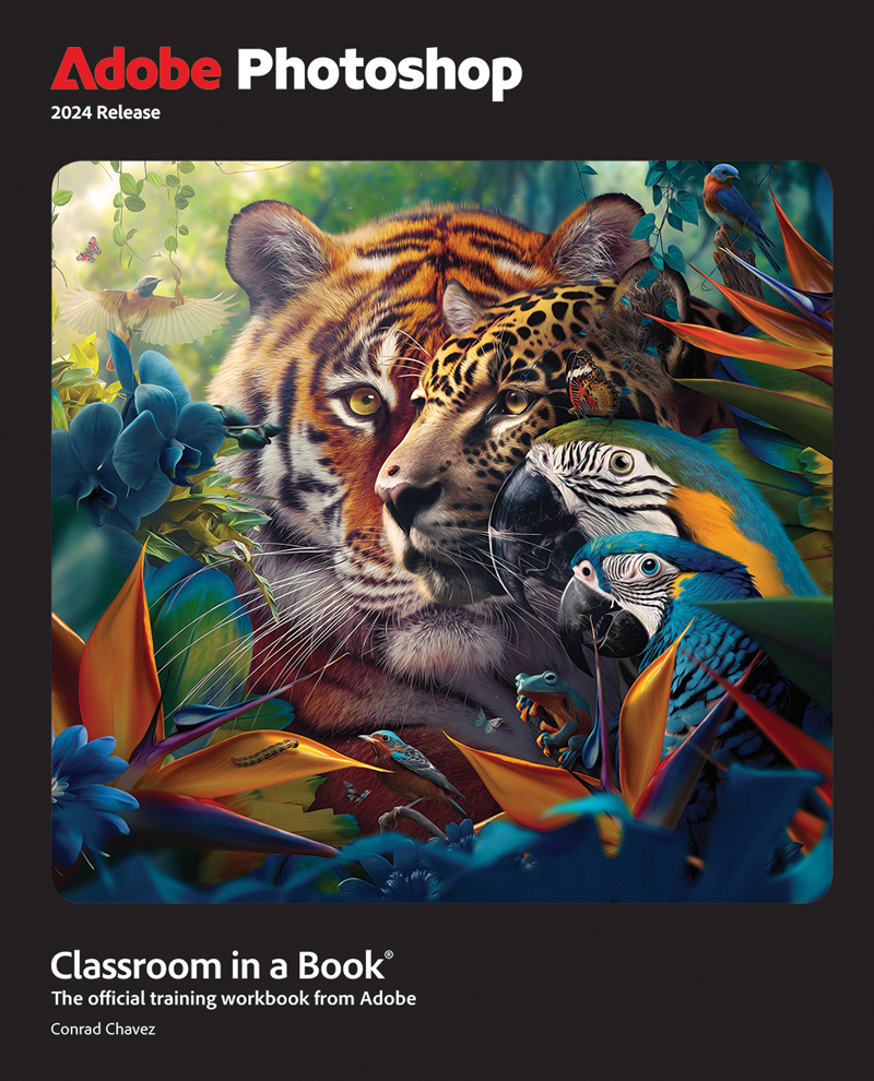 Adobe Photoshop Classroom In A Book 2024 Release   211151019 