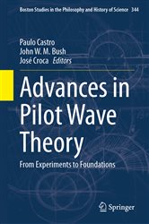 Advances in Pilot Wave Theory by Paulo Castro (ebook)