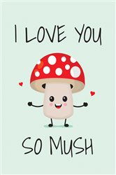 Book cover: I Love You So Mush, by Summersdale Publishers (preview)