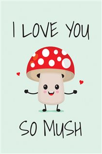 Book cover: I Love You So Mush, by Summersdale Publishers (preview)