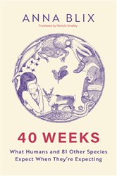 Book cover: 40 Weeks, by Anna Blix (preview)