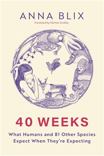 Book cover: 40 Weeks, by Anna Blix (preview)