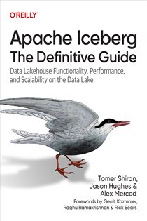 Book cover: Apache Iceberg: The Definitive Guide, by Tomer Shiran (preview)