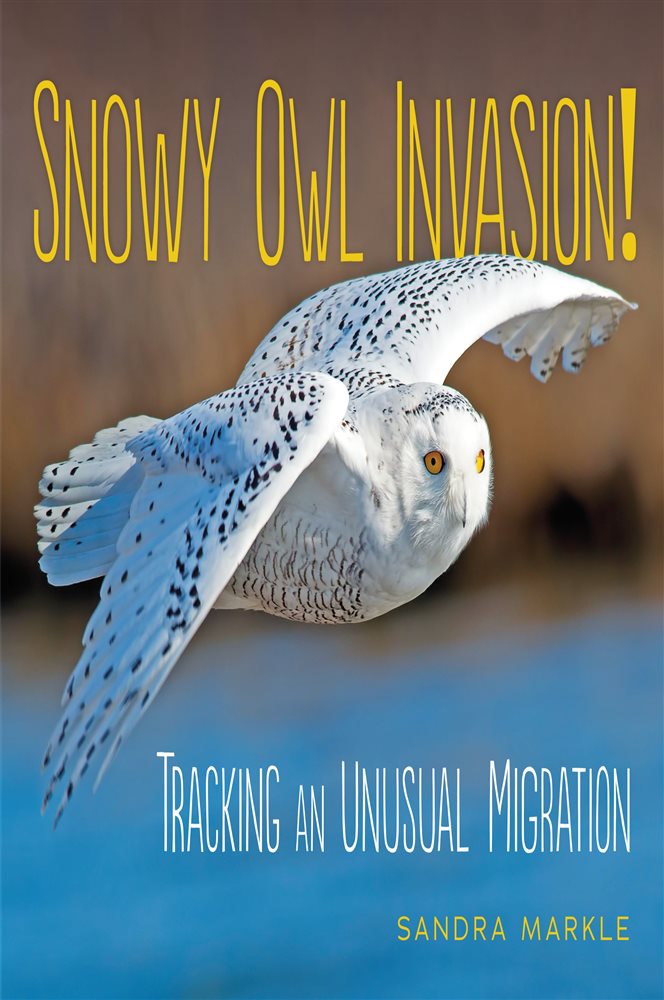 Snowy Owl Invasion! by Sandra Markle (ebook)