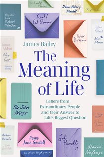 Book cover: The Meaning of Life, by James Bailey (preview)