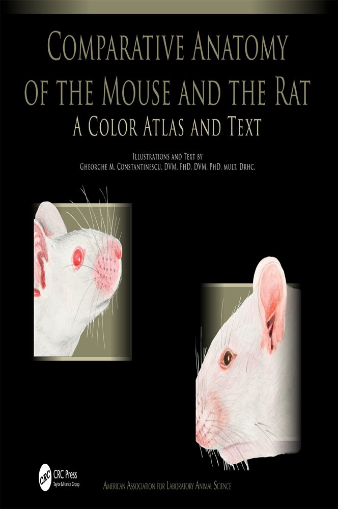 Rata Raton Comparative Anatomy of the Mouse and the Rat