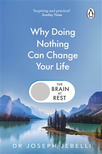 Book cover: The Brain at Rest, by Joseph Jebelli (preview)