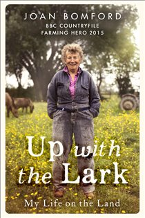 Book cover: Up With The Lark, by Joan Bomford (preview)