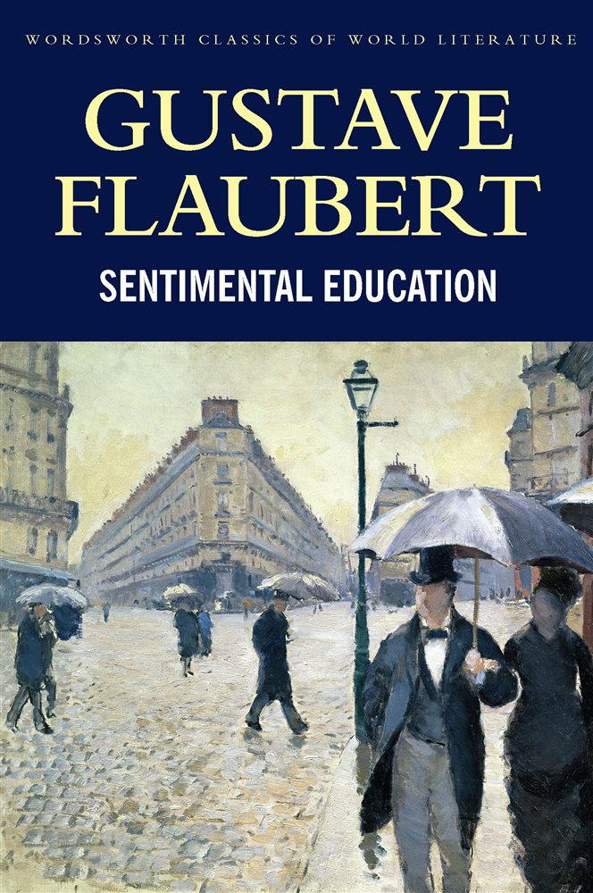 Sentimental Education By Gustave Flaubert Ebook 3290