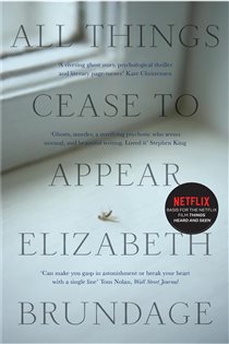 Book cover: All Things Cease to Appear, by Elizabeth Brundage (preview)