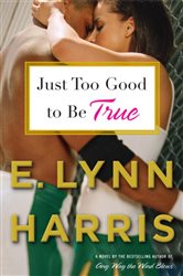 Book cover: Just Too Good to Be True, by E. Lynn Harris (preview)
