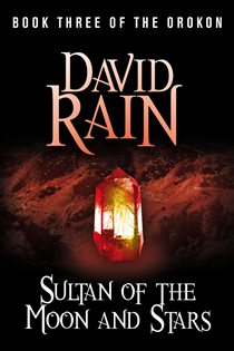 Book cover: Sultan of the Moon and Stars, by David Rain (preview)
