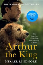 Book cover: Arthur the King, by Mikael Lindnord (preview)