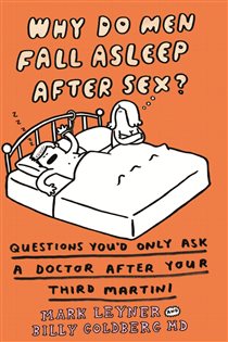 Book cover: Why Do Men Fall Asleep After Sex?, by Mark Leyner (preview)