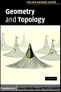 Book cover: Geometry and Topology, by Miles Reid (preview)