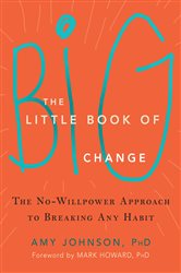 Book cover: The Little Book of Big Change, by Amy Johnson (preview)