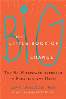 Book cover: The Little Book of Big Change, by Amy Johnson (preview)