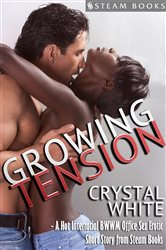 Growing Tension - A Hot Interracial BWWM Office Sex Erotic Short ...