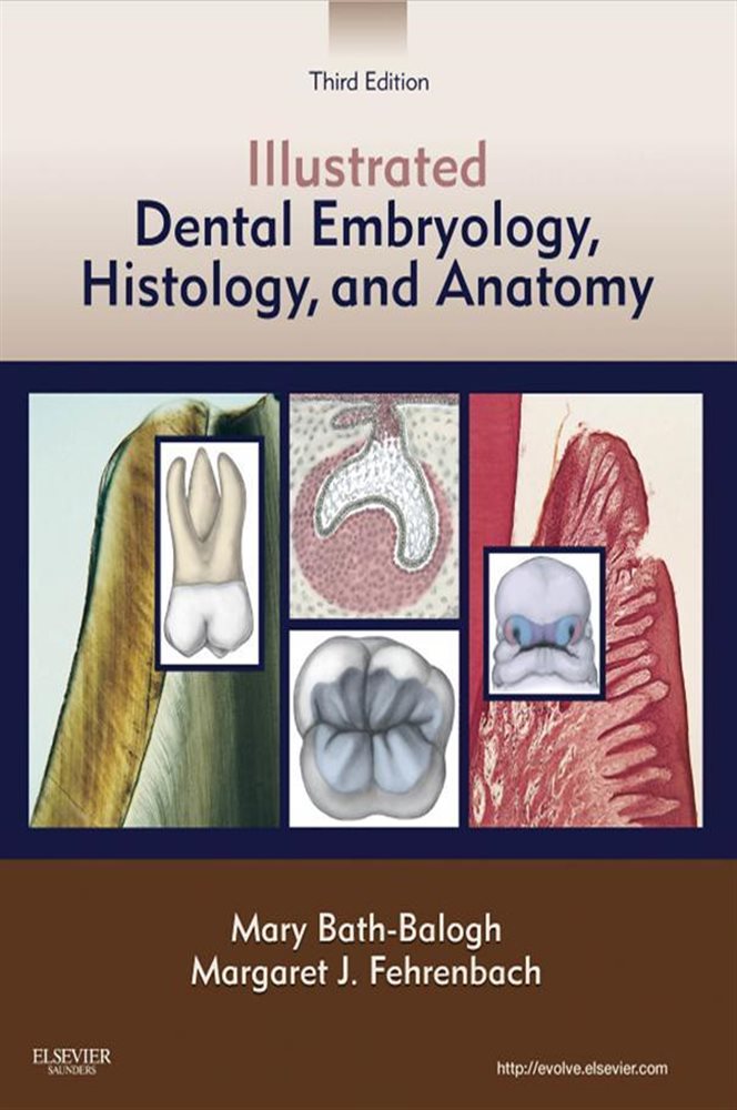 illustrated dental embryology histology and anatomy free download