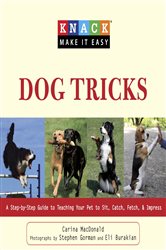 Book cover: Knack Dog Tricks, by Carina MacDonald (preview)