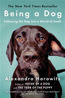 Book cover: Being a Dog, by Alexandra Horowitz (preview)