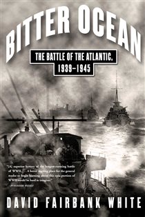 Book cover: Bitter Ocean, by David Fairbank White (preview)