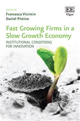 Fast Growing Firms in a Slow Growth Economy: Institutional Conditions for Innovation