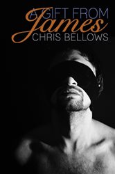Book cover: A Gift From James, by Chris Bellows (preview)