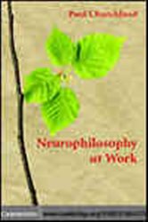 Book cover: Neurophilosophy at Work, by Paul Churchland (preview)