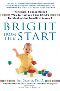 Book cover: Bright from the Start, by Jill Stamm (preview)