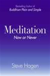Book cover: Meditation Now or Never, by Steve Hagen (preview)