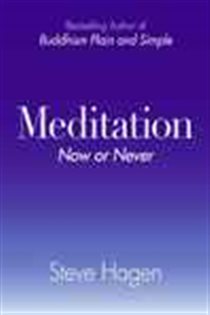 Book cover: Meditation Now or Never, by Steve Hagen (preview)