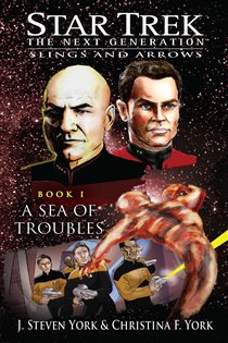 Book cover: A Sea of Troubles, by J. Steven York (preview)