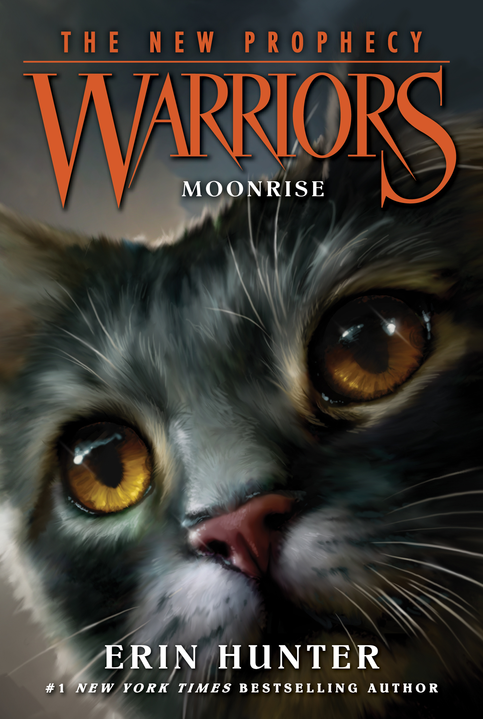 Warriors: A Warrior's Spirit eBook by Erin Hunter - EPUB Book