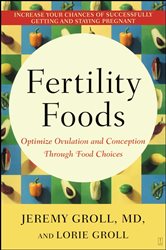 Book cover: Fertility Foods, by Jeremy Groll (preview)