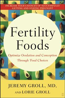 Book cover: Fertility Foods, by Jeremy Groll (preview)