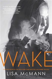 Book cover: Wake, by Lisa McMann (preview)