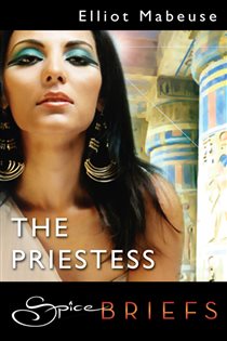 Book cover: The Priestess, by Elliot Mabeuse (preview)