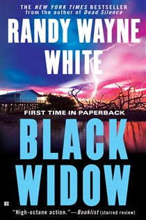 Book cover: Black Widow (Book 15 of A Doc Ford Novel) by Randy Wayne White (preview)