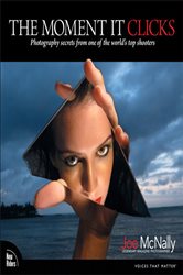 Book cover: Moment It Clicks, The, by Joe McNally (preview)