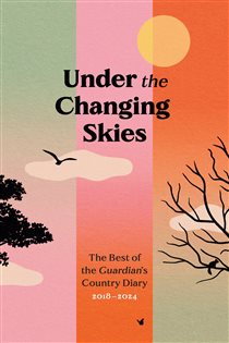 Book cover: Under the Changing Skies, edited by Paul Fleckney (preview)
